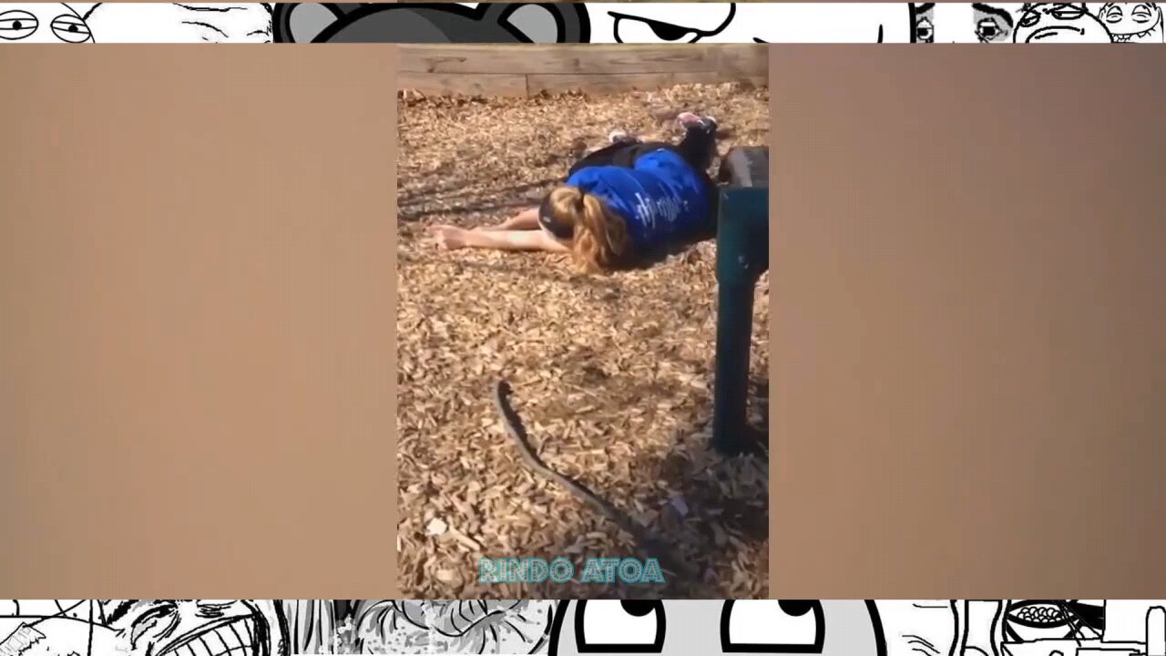 Try not to laugh