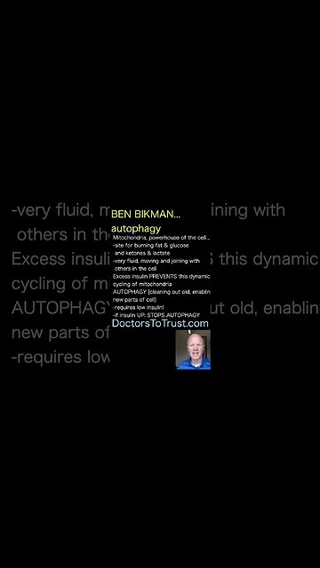 BEN BIKMAN excess insulin PREVENTS mitochondria autophagy, which strengthens the brain, heart cells