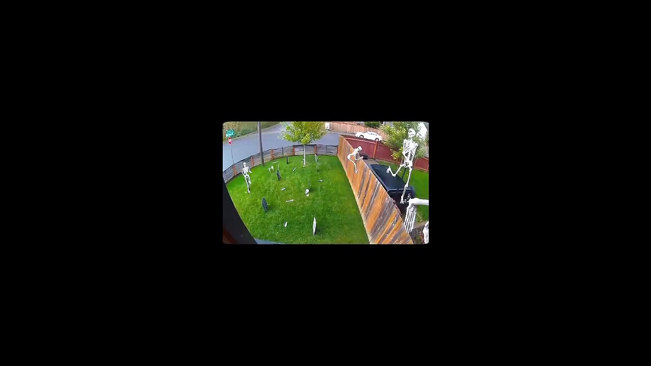 Kia boys did it again