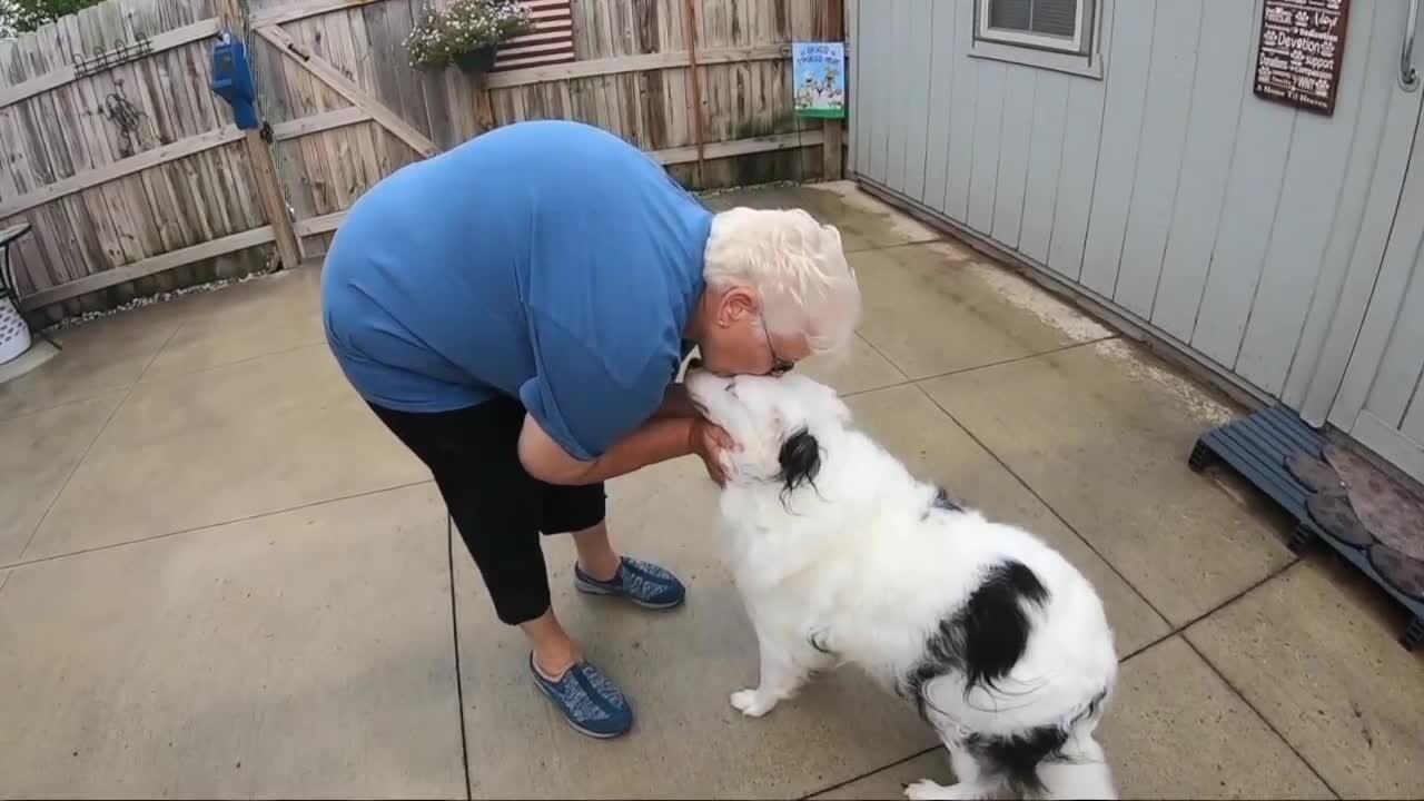 Gowanda couple gives hope to desperate pet owners and a home to some special needs dogs.