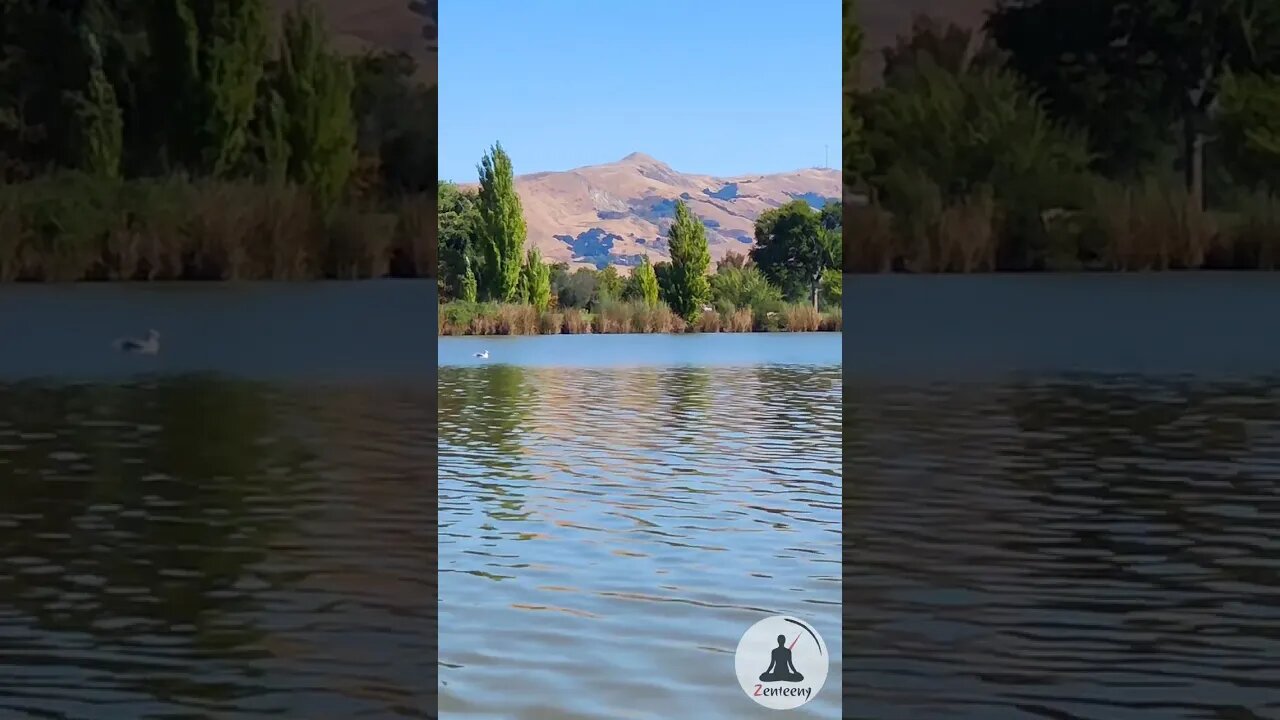 Relaxing Water Ripples of Lake Elizabeth with Majestic Mission Peak in Fremont, CA