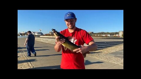 Jacob Catches A Catfish! | Fishing w/ M-L Outdoors 2