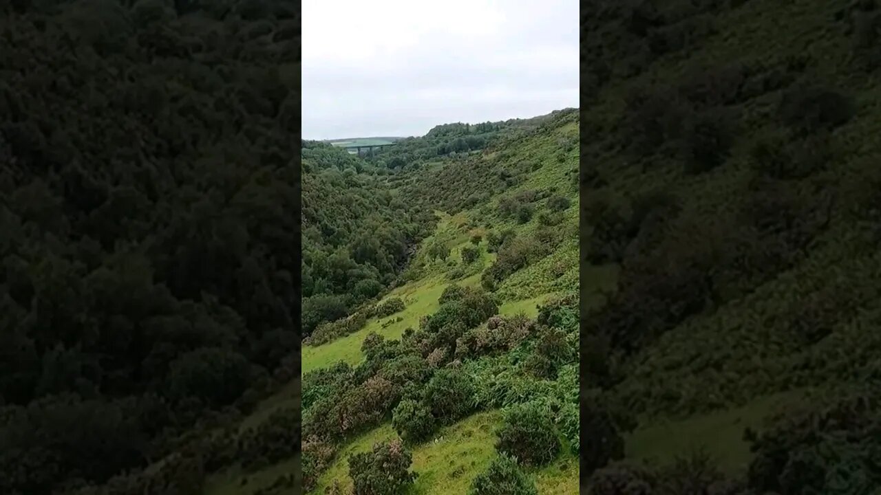 Meldon Reservoir Dartmoor. After a wildcamp vlog. POV. GoPro on a head mount. #shortsvideo