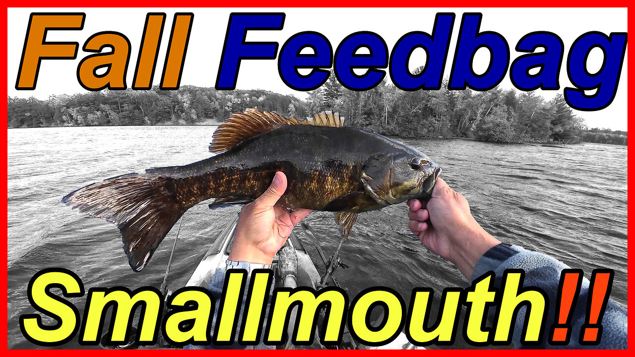 Fall Feedbag Fishing Is Here: Are You Ready for Smallmouth Bass?