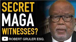 J6 Committee’s MAGA Witnesses and Congressional Insider Information?