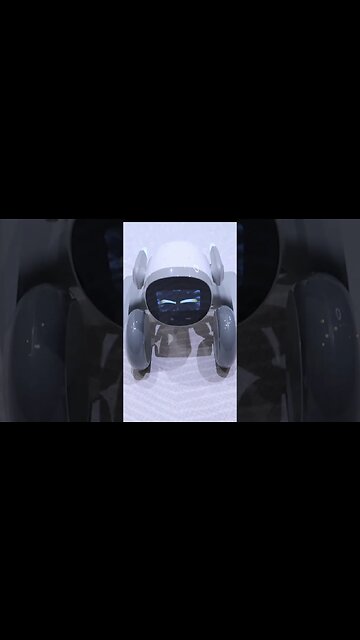 Loona Robot Resisting Strong Wind #shorts