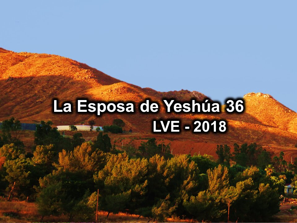 La Esposa de Yeshúa 36 - YHWH Ekjad 15