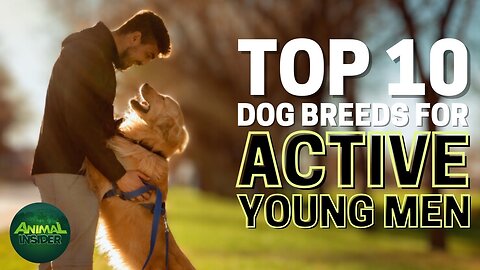 Top 10 Dog Breeds For Active Young Men