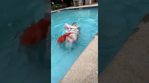 Help Him Somebody anybody 😂😂 #shortsvideo #shortsfeed #nature #travel #fy #short #shortsviral