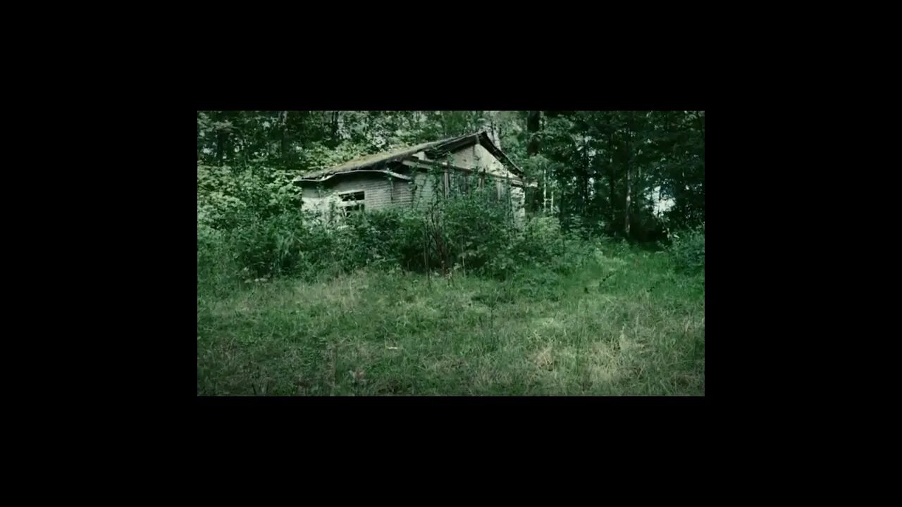 Haunted Shed in the Forest