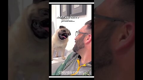😂 You Laugh You Restart II Newest Funny Animal Shorts of 2023 7 #shorts #funny #cat #dog #pets