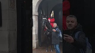 He holds the Reins #horseguardsparade