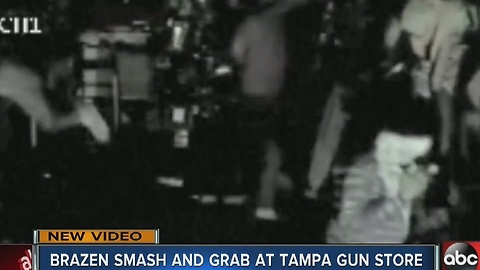 Brazen smash and grab at Tampa gun store