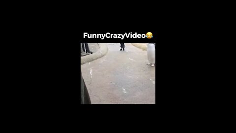 Mr FunnyCrazyVideo😂 Just Incredible Video Funny and Crazy #Like Follow for Follow 🥰