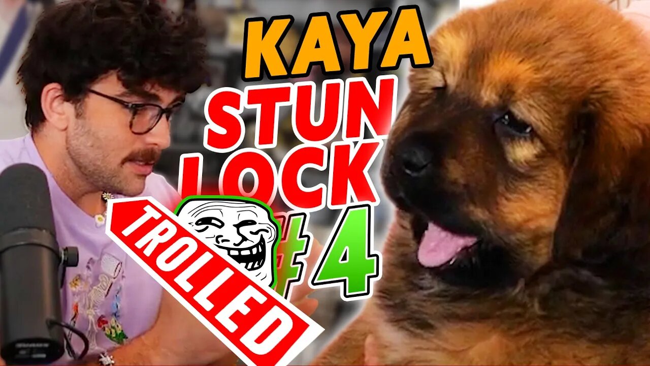 Hasanabi gets STUNLOCKED by KAYA #4 | Dog Troll chatter joins the STUNLOCK