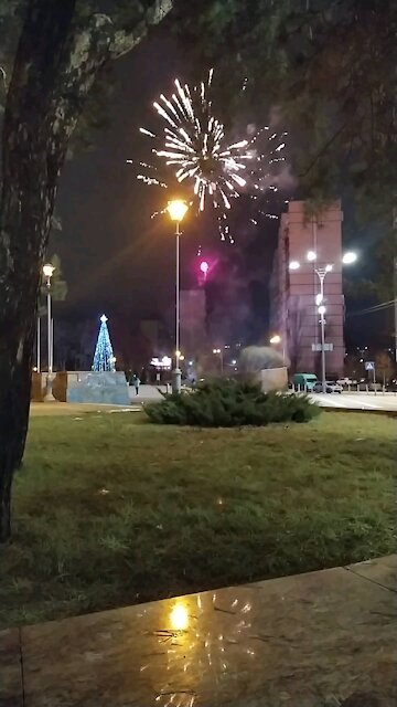 Fireworks near the New Year tree
