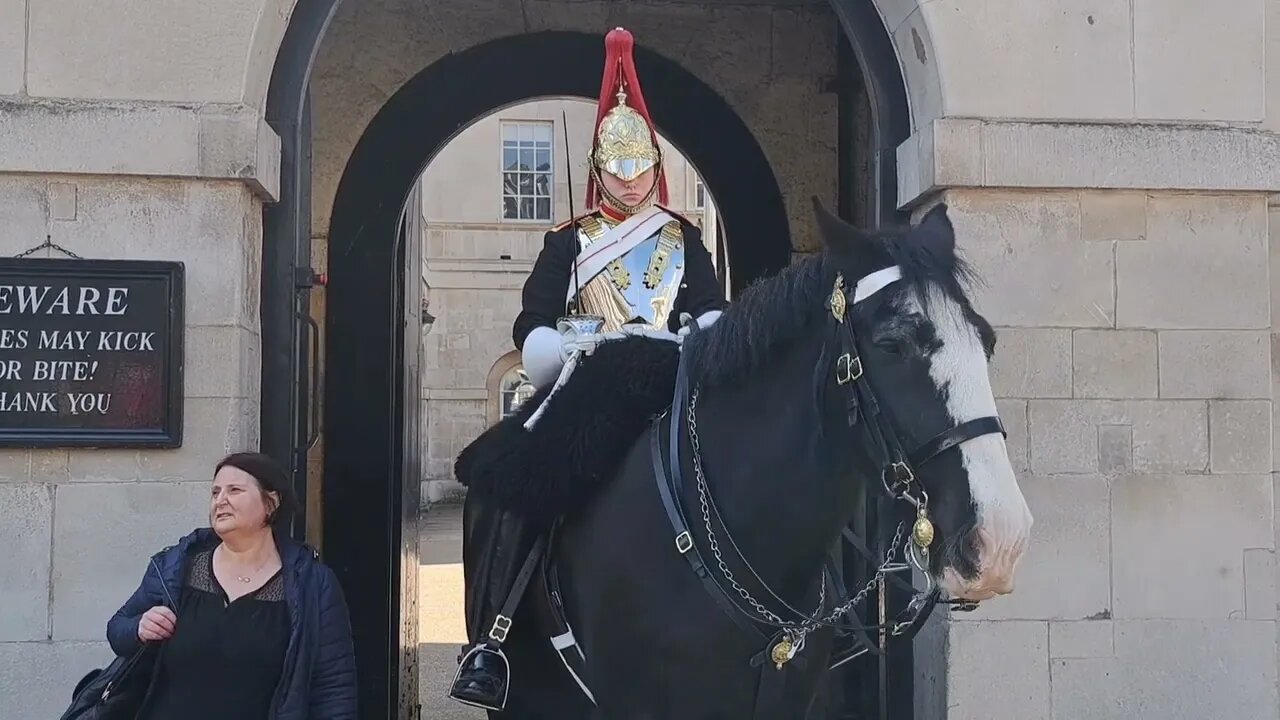 You are not allowed to touch the kings guard (GET OFF) #horseguardsparade