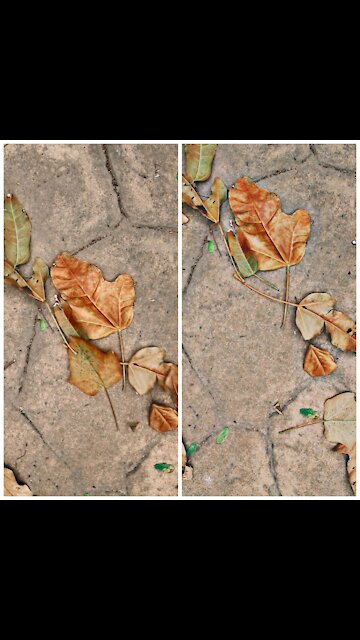 Watch and make your self relief