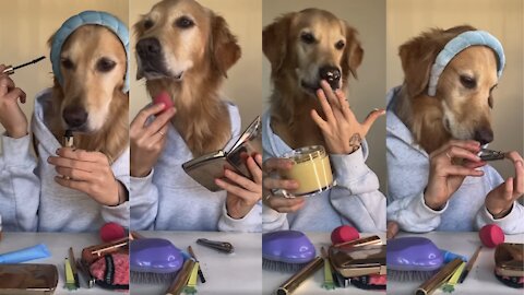 Dog Make Up Tutorial 🐶❤ | Cute and funny Dog