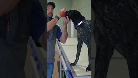 Pro Tip For Trained Retrieve