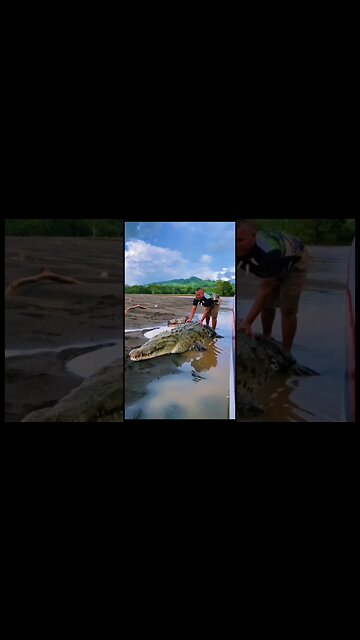 Mommy How Come Daddy Didn’t Come Home?