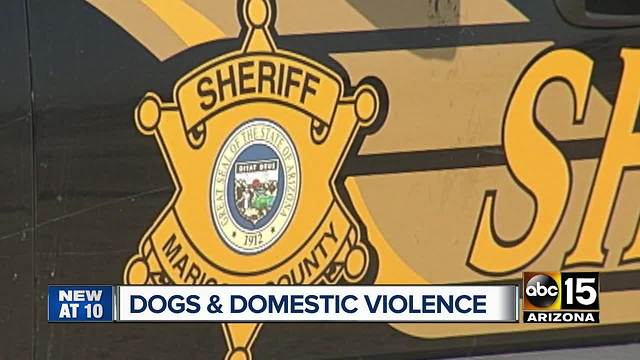 Domestic violence victims refusing to leave, fearful for pets