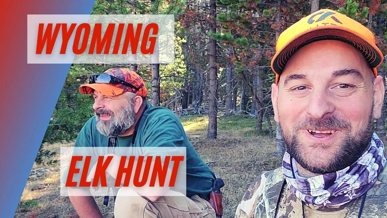 Rifle Elk Wyoming Public Land Hunt