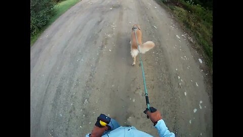 August 17th, 61º again (?) Flynn makes it a short walk this morning.