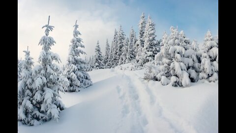 Beautiful winter frames