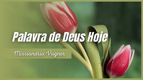 Deus sabe como cuidar de cada filho - Palavra de Deus Hoje