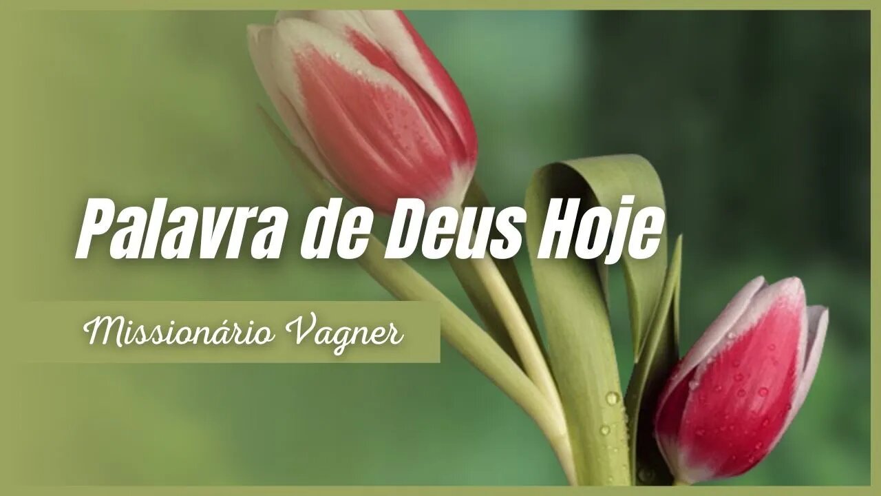 Deus sabe como cuidar de cada filho - Palavra de Deus Hoje