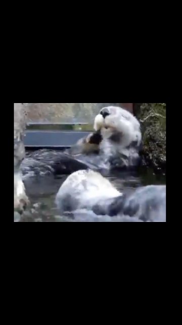 I need this level of relaxation in my life