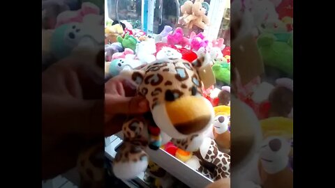 pegando urso pelucia maquina 02 #shorts