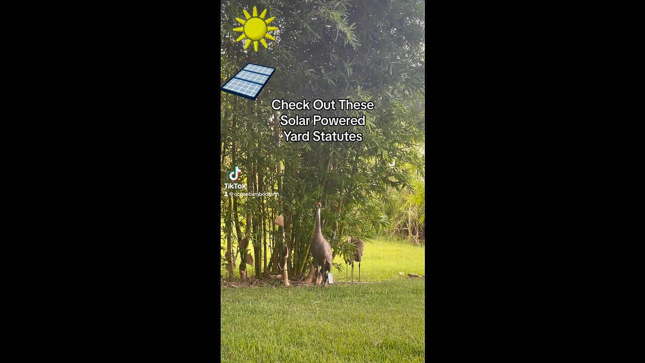 Check Out These New Solar Powered Yard Statutes