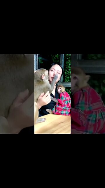 What a animal love 😍#Shorts #ytshorts #UbertainmentFun #Dogs #Animals #Fun