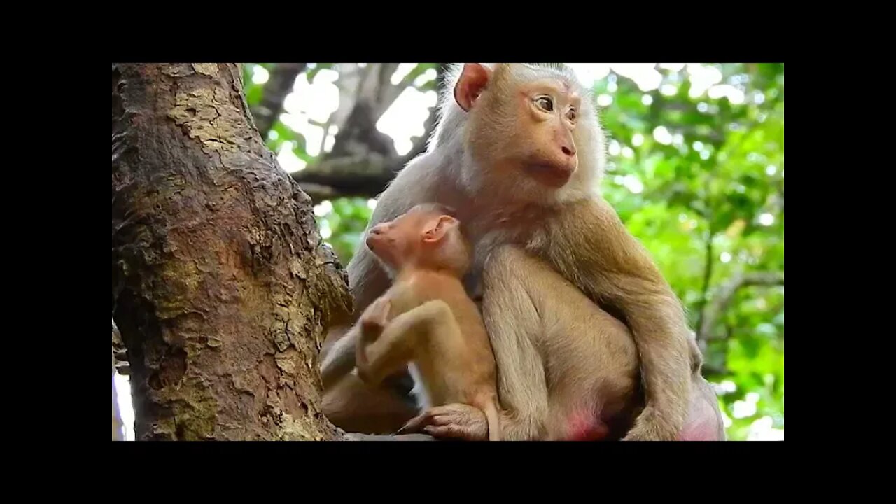 So Beautiful Mom Take Cares Her Daughter