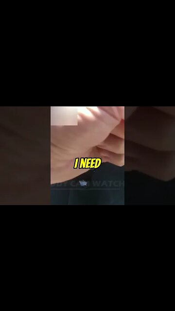 Groovy Encounter: Unmasking the TK Discount Auto Store Dog Incident