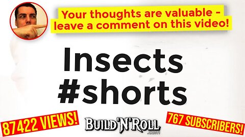 Insects #shorts