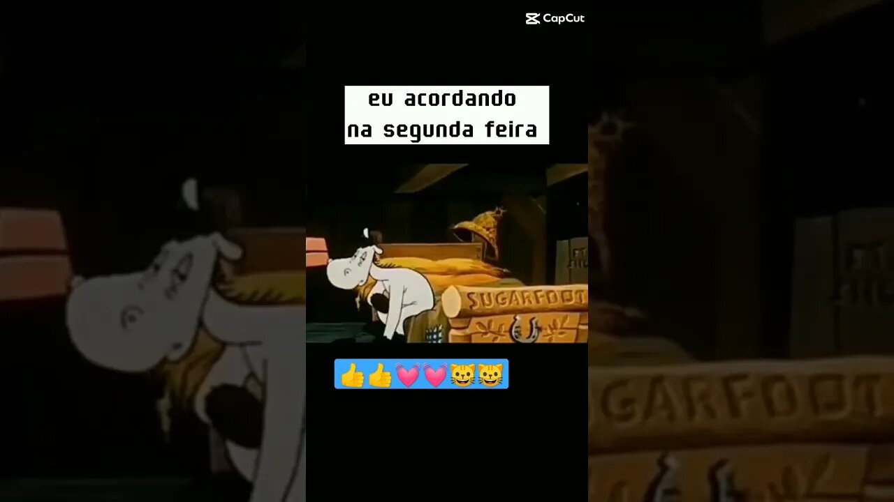 Bom dia Gato Bartolomeu Tunico