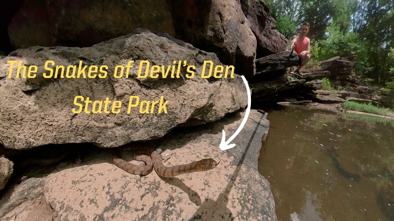 Devil's Den: The Arkansas State Park of Snakes