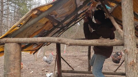 Feed bag roof is done. #4