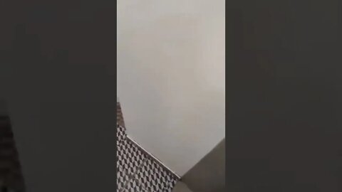 Privacy