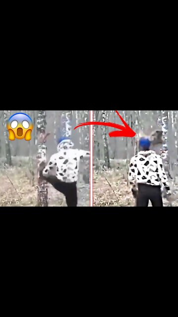 Guy kicks the tree which then falls on his head 😱 ! Instant karma