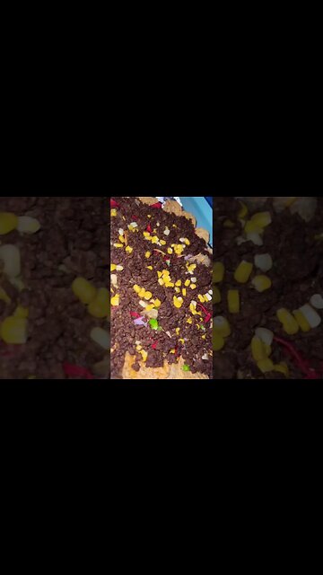 Delicious Home Made Nachos with Beef