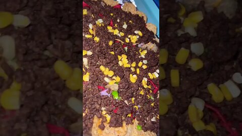 Delicious Home Made Nachos with Beef