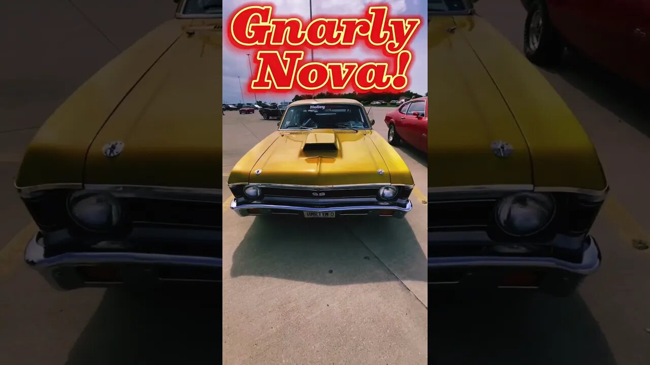 One Gnarly Nova! #shorts
