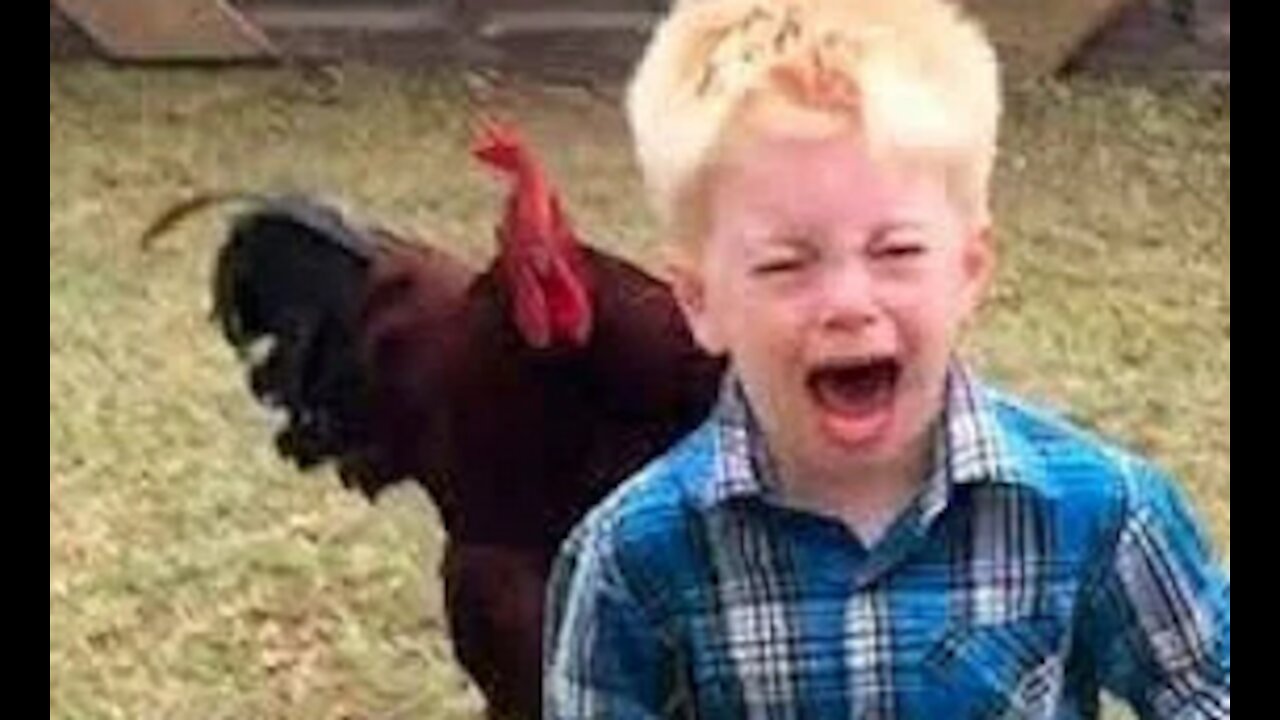 Funny Roosters Chasing Kids and Other Animals WAIT TILL THE END