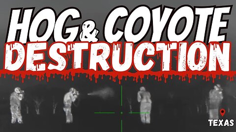 Thermal Hog & Coyote Hunt | Destruction
