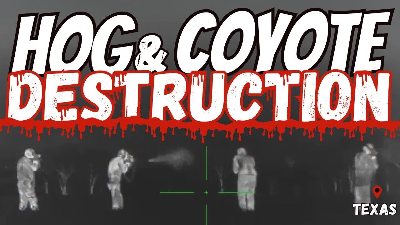 Thermal Hog & Coyote Hunt | Destruction