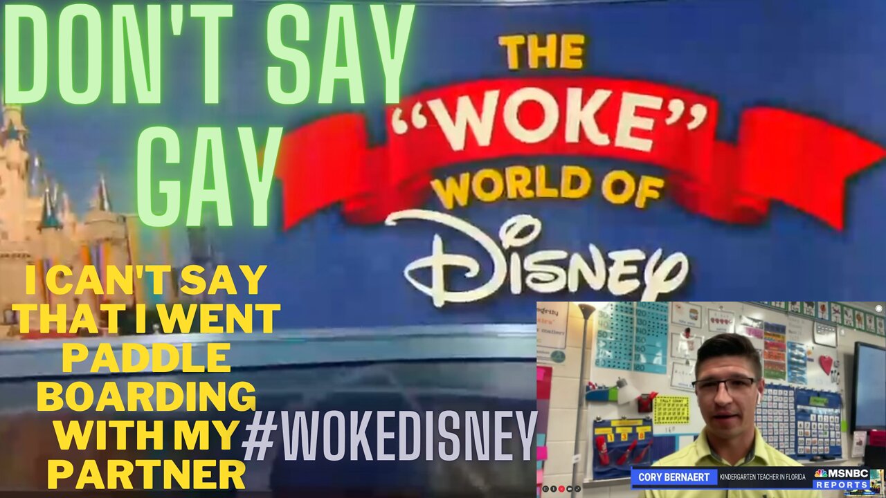 WOKE DISNEY AND DON'T SAY GAY